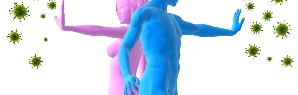 kavegep-berles-budapest-wmf-kavegep-szerviz