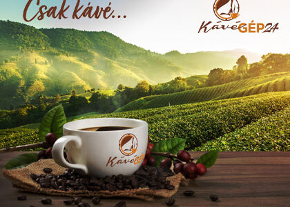 kávé szüret